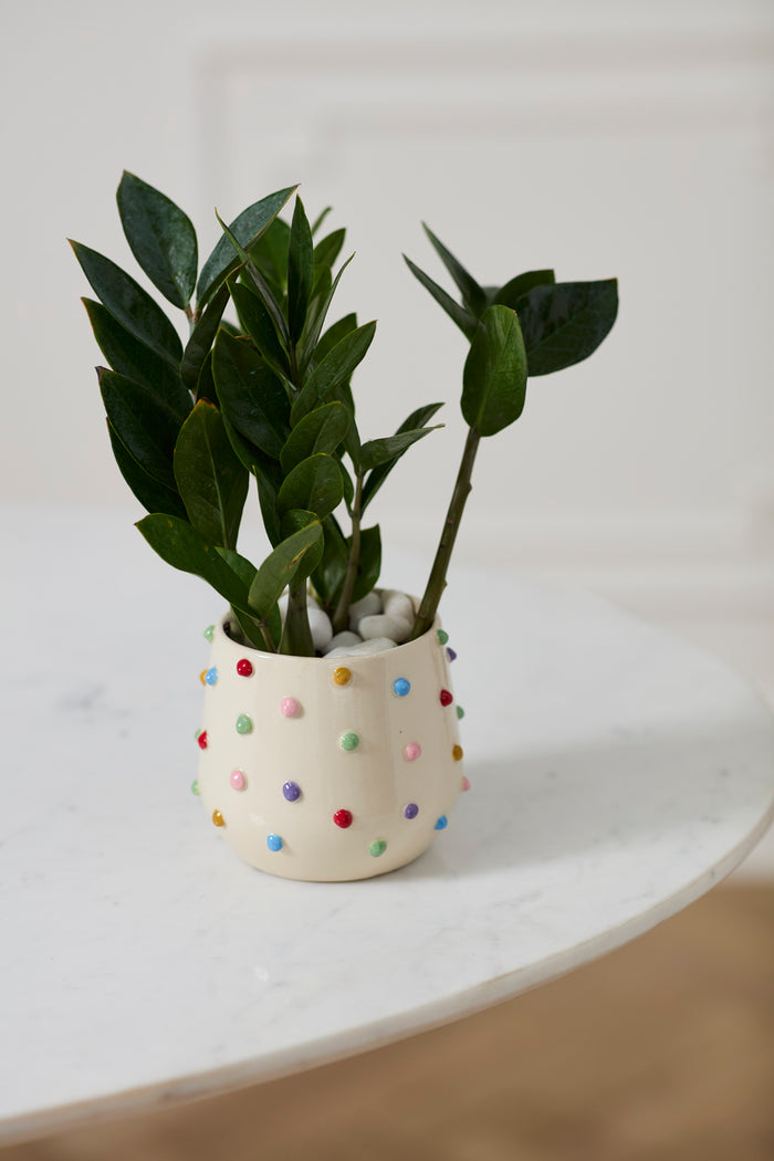 Candy Ceramic Pot