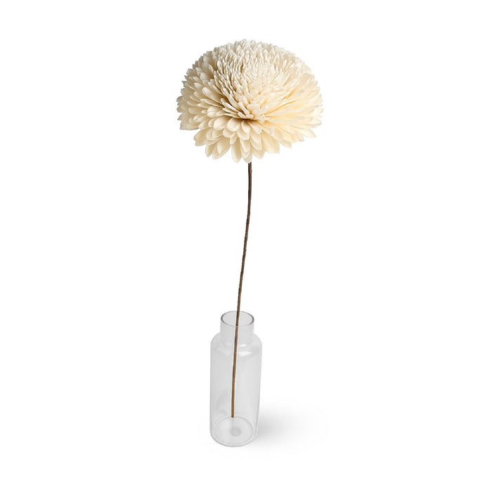 Dried Flowers