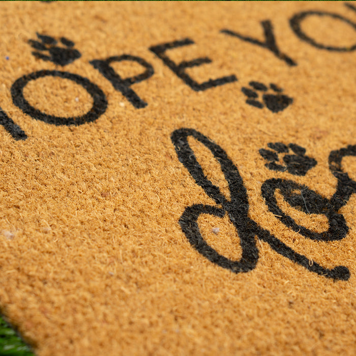 Hope You Like Dog Hair Doormat