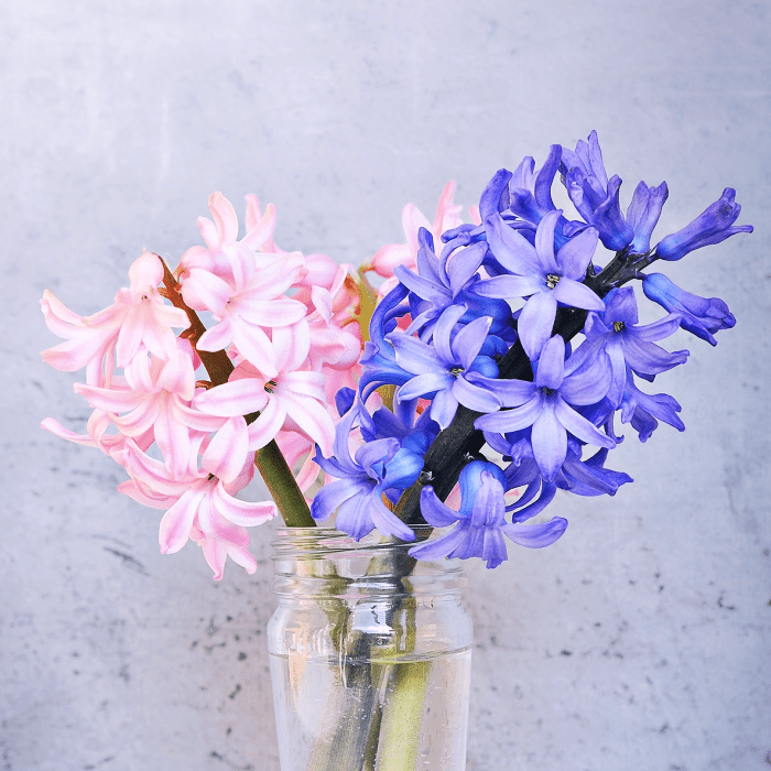 Hyacinth Fragrance Oil
