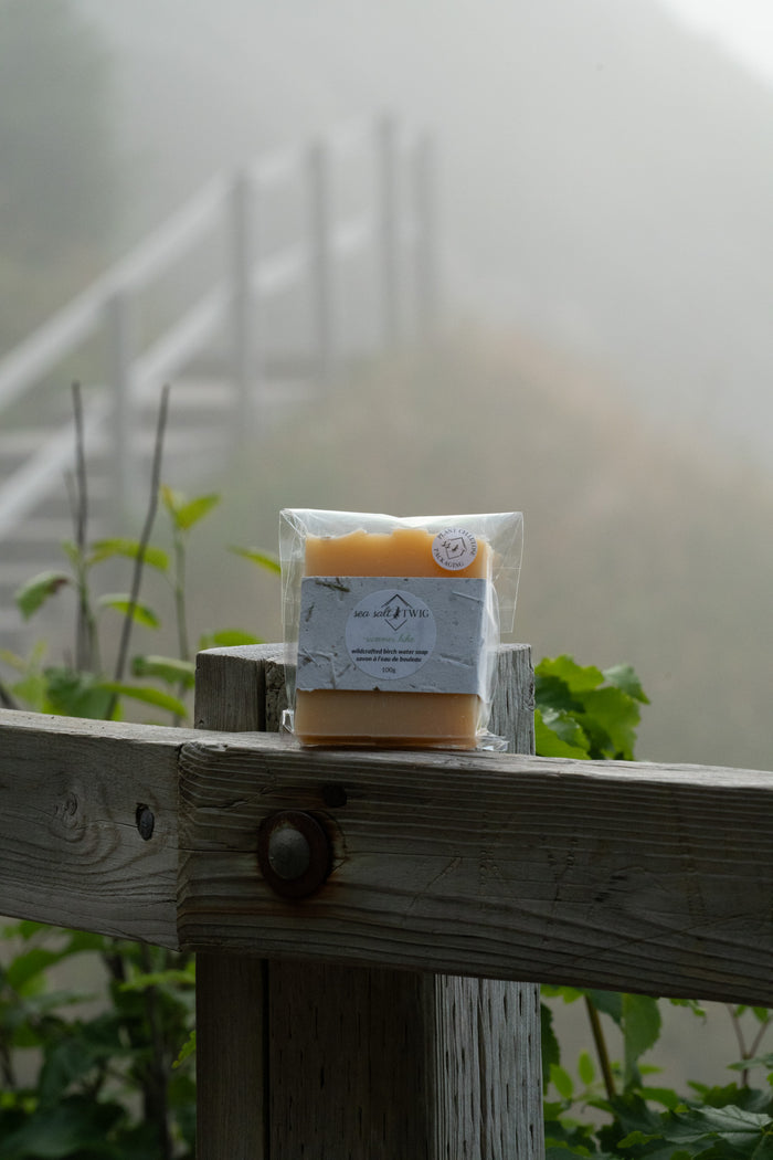 Infused Soap Bars
