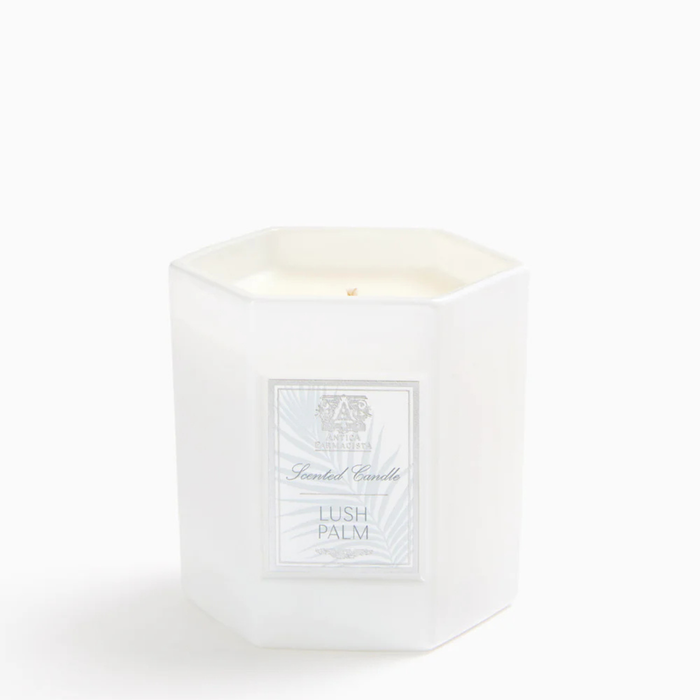 Lush Palm Candle