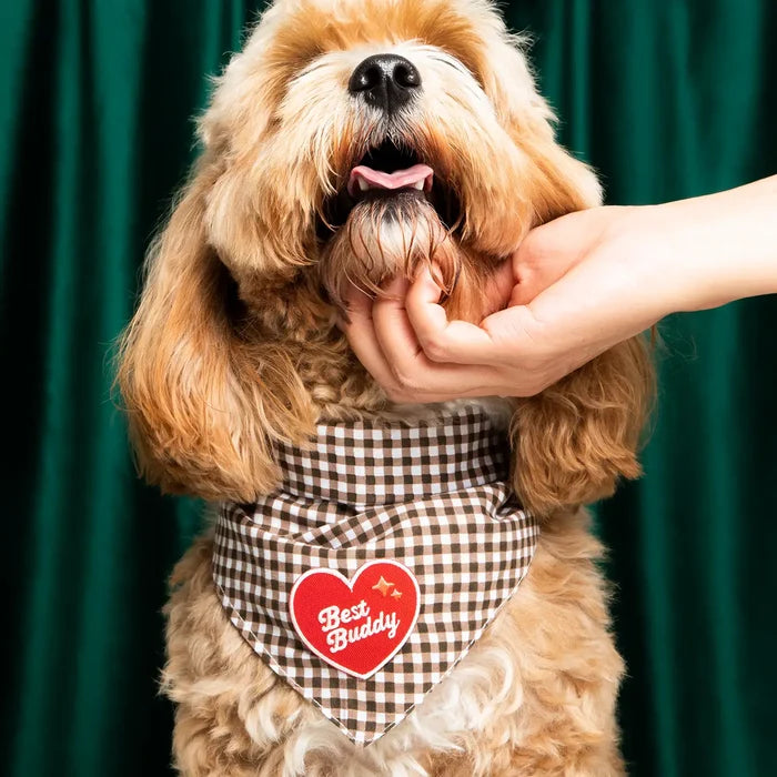 Fluffy dog in checkered bandana with Scout’s Honour Best Buddy Patch being gently petted under the chin, happy pet moment.