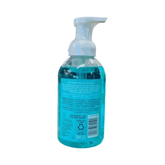 Sorbet Foaming Hand Wash Rejuvenating 500ml bottle with kiwi fruit extract and collagen for gentle cleansing and skin hydration