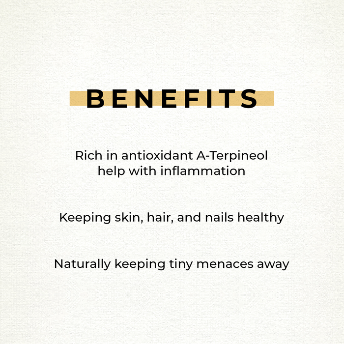 100% Pure Essential Oil 1oz Tea Tree