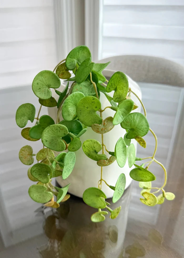 16" HANGING FRESH TOUCH PILEA BUSH - Magnolia Lane co. Home + Garden + Gift