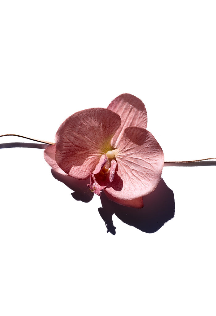 Baby Pink Orchid Chocker