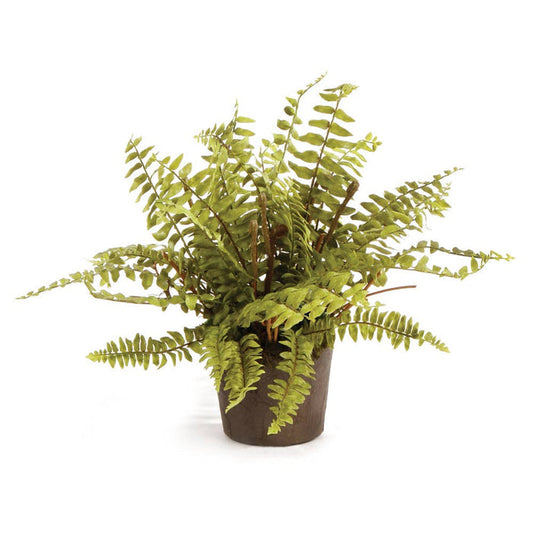 Boston Fern Drop-In 12" - Magnolia Lane co. Home + Garden + Gift