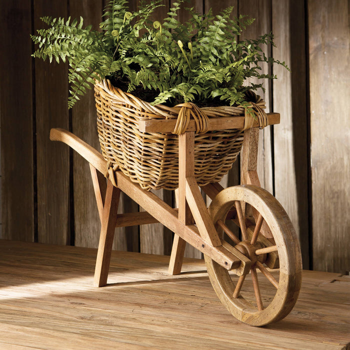 Boston Fern Drop-In 12" - Magnolia Lane co. Home + Garden + Gift