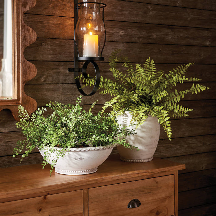 Boston Fern Drop-In 12" - Magnolia Lane co. Home + Garden + Gift