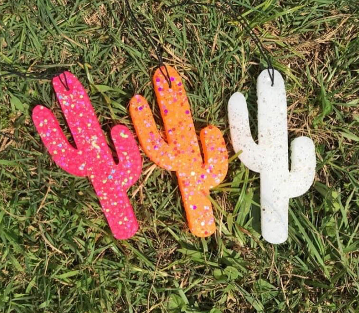 Cactus Freshie 1