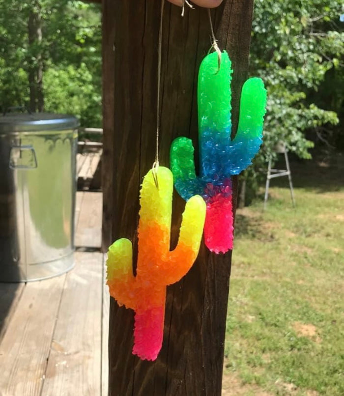 Cactus Freshie 1