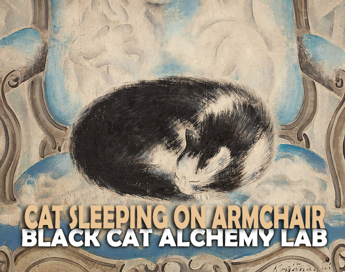 Cat Sleeping on an Armchair Perfume Oil