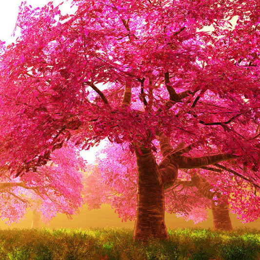 Cherry Vanille - Diffuser Fragrance