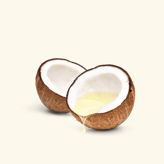 Coconut Fragrance Oil