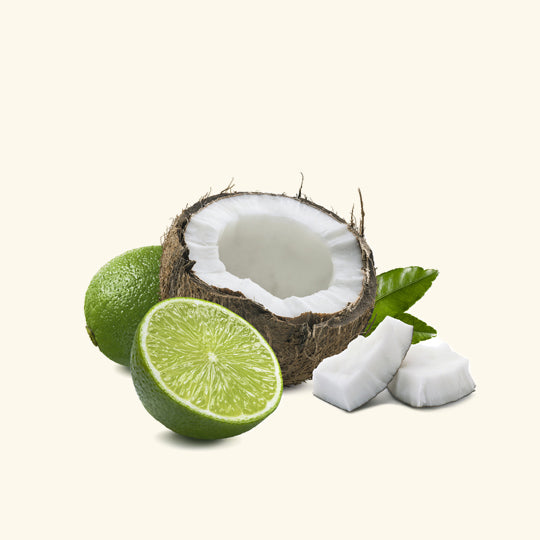Coconut Lime Fragrance Oil
