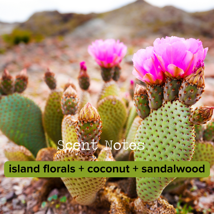 DISCONTINUED - Cactus Bloom Reed Diffuser | The Rustic House