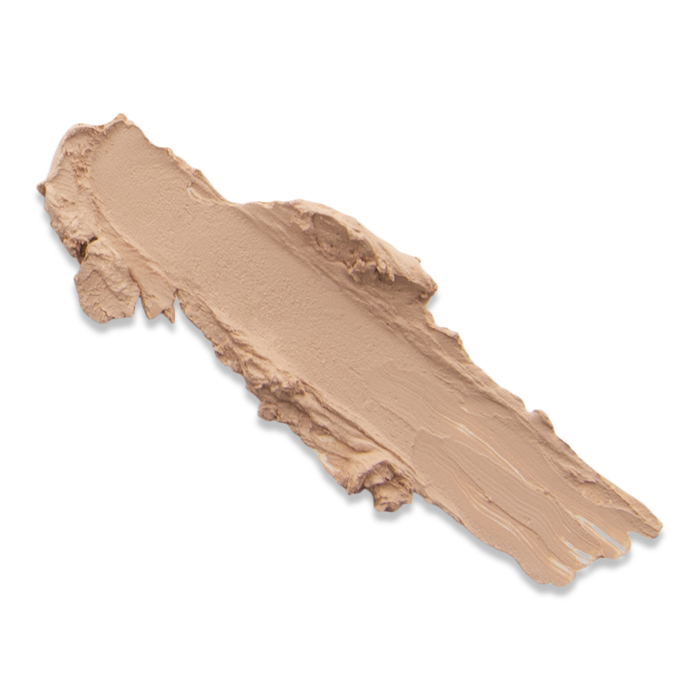 DISCONTINUED - CONSTANT DISCONTINUED - COMPANION CONCEALER/ LIGHT TONE | David & Mary