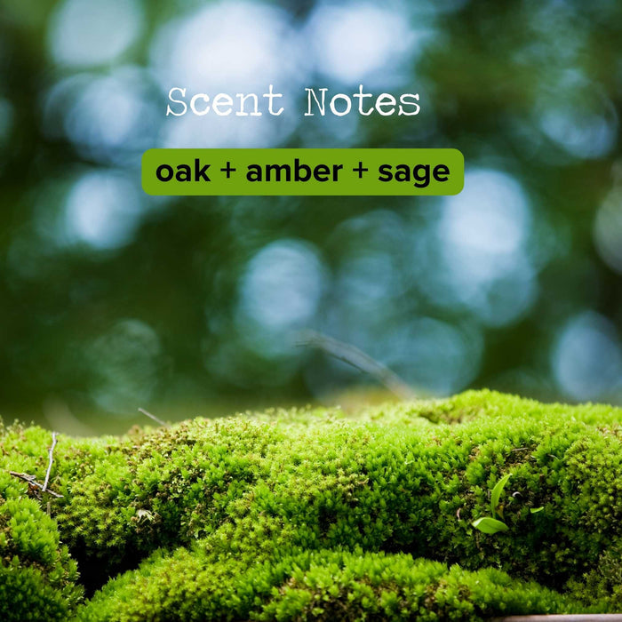 Discontinued - Oak + Moss Reed Diffuser | The Rustic House