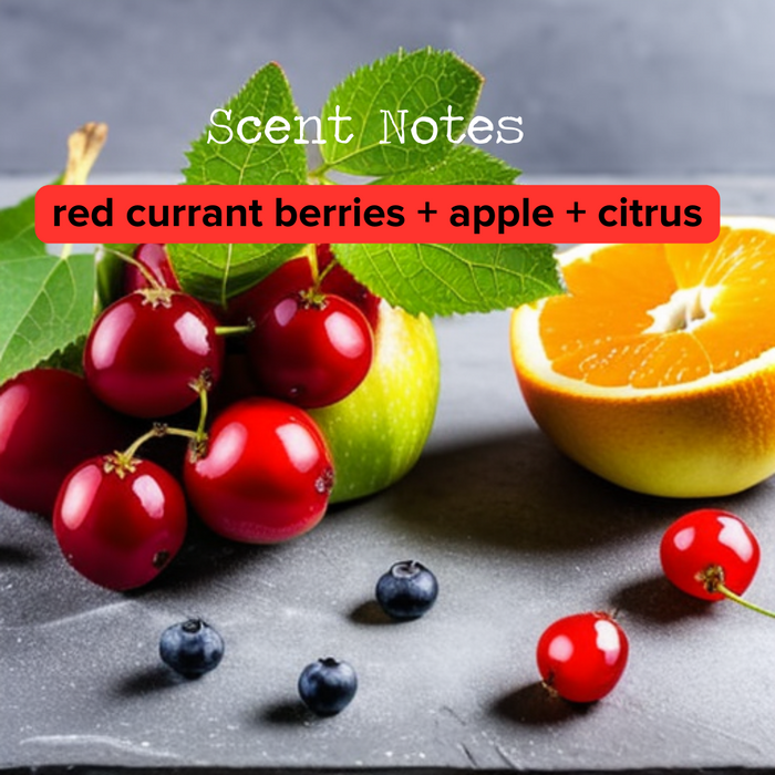 DISCONTINUED - Red Currant Reed Diffuser | The Rustic House