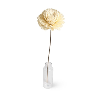 Dried Flowers