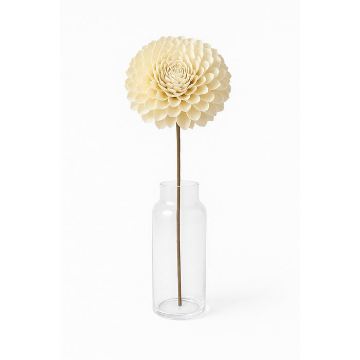 Dried Flowers