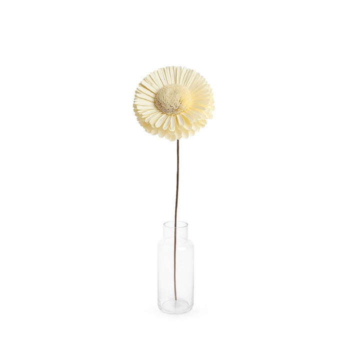 Dried Flowers