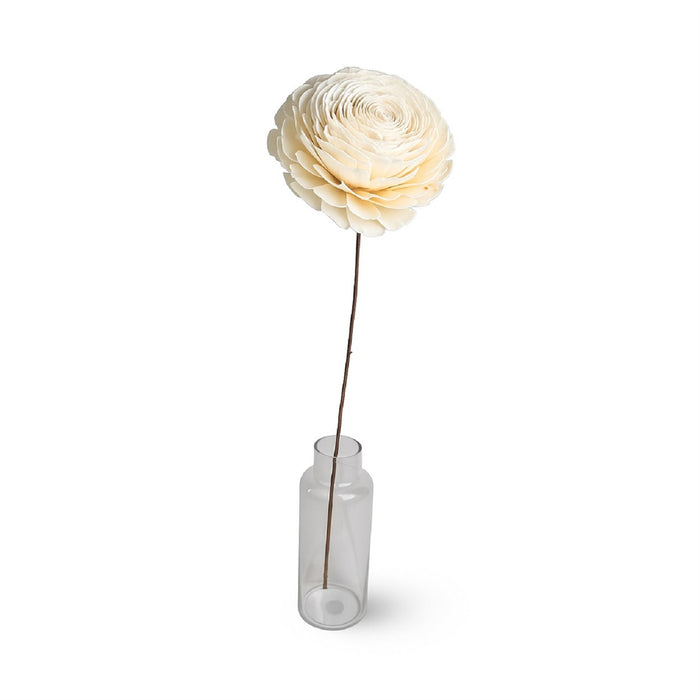 Dried Flowers