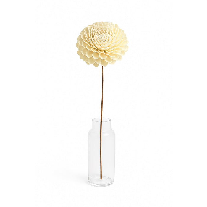 Dried Flowers