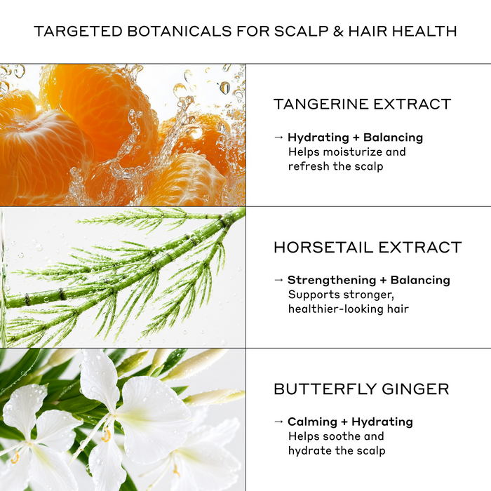 Zenagen Eclipse Shampoo with tangerine extract, horsetail extract, and butterfly ginger to support hydration, scalp balance, and healthier-looking hair.