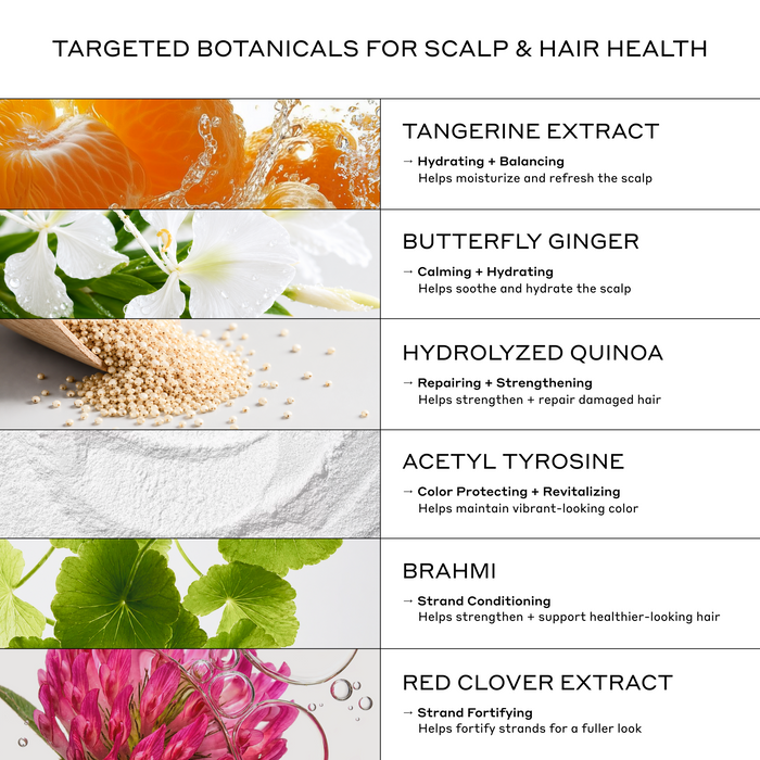 Zenagen Eclipse Trio key ingredients infographic showcasing the targeted scalp and hair health benefits of Tangerine Extract, Butterfly Ginger, Hydrolyzed Quinoa, Acetyl Tyrosine, Brahmi, and Red Clover Extract