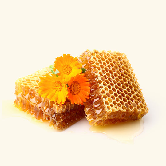 Honey Calendula Fragrance Oil