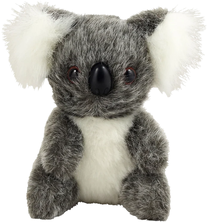Hug a Koala Kit