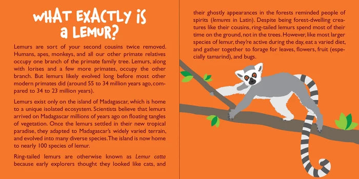 Hug A Lemur Kit