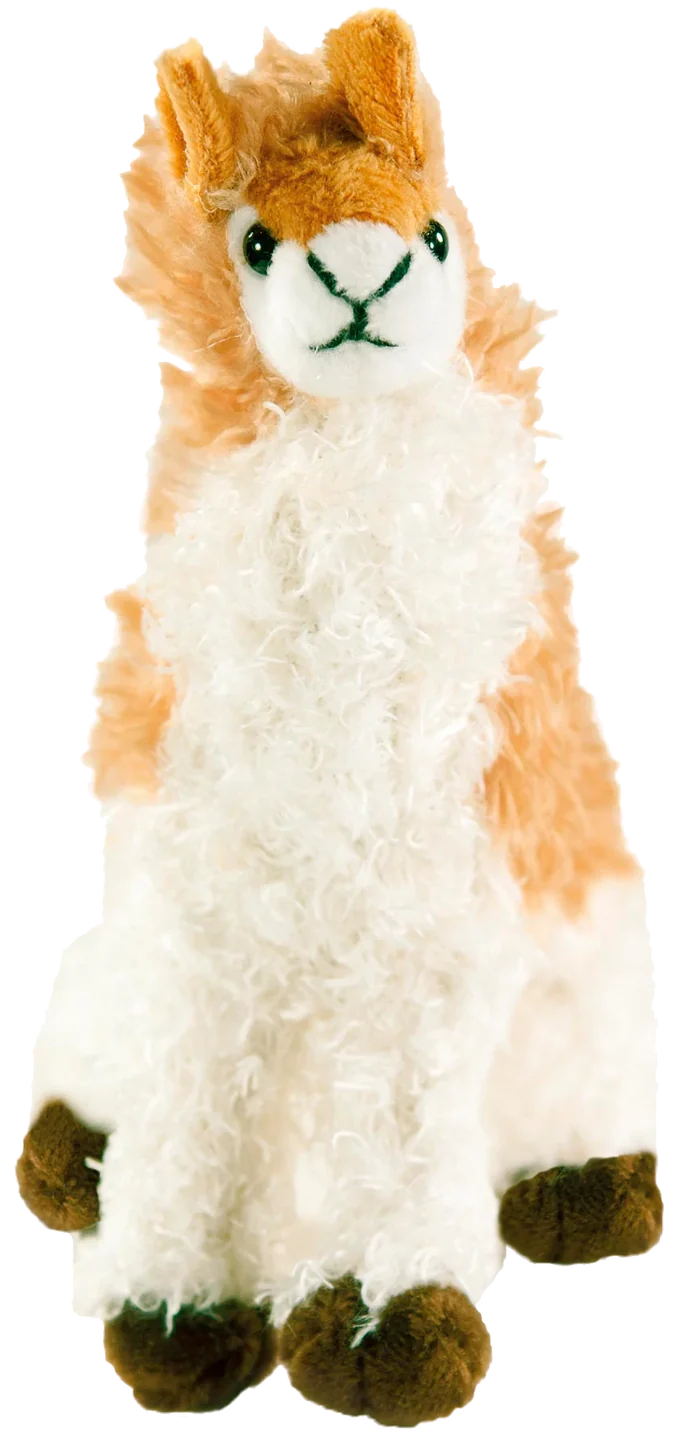 Hug A Llama Kit