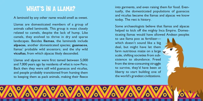 Hug A Llama Kit