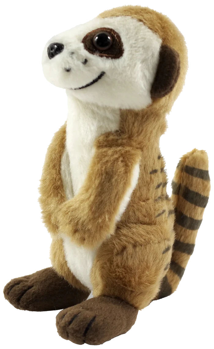 Hug A Meerkat Kit