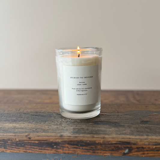 Incense, Smoke + Leather Handcrafted Soy Candle