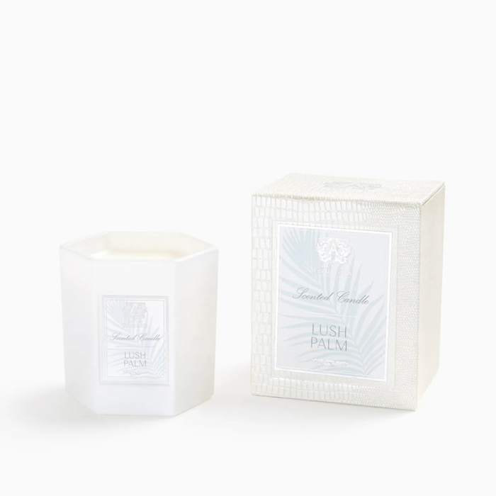 Lush Palm Candle