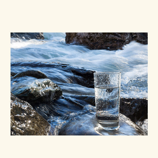Vanilla & Tonka Fragrance Oil