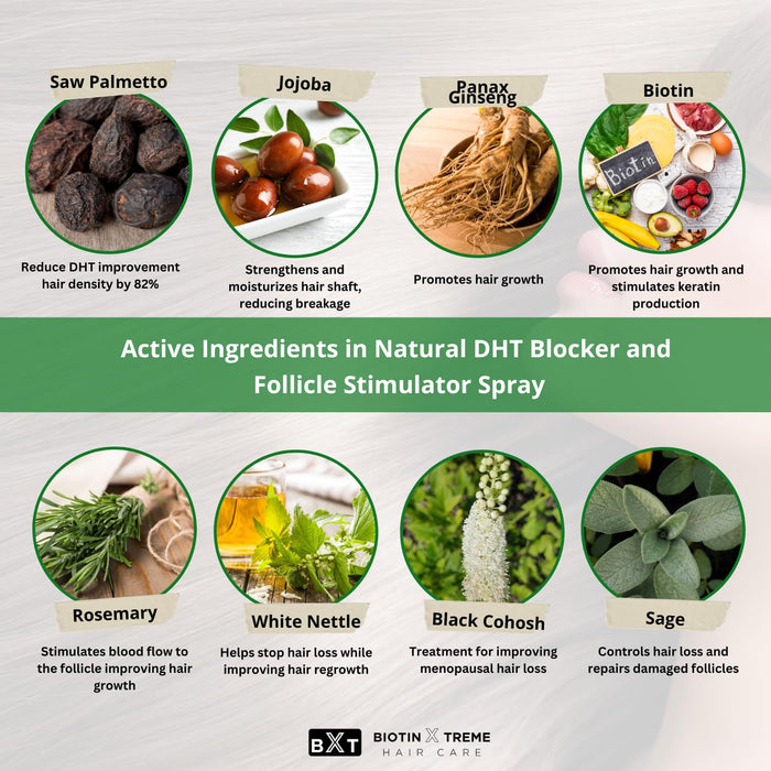 Active ingredients in Biotin Xtreme natural DHT blocker and follicle stimulator spray: Saw Palmetto, Biotin, Jojoba, Ginseng, Rosemary, Sage for hair loss and regrowth