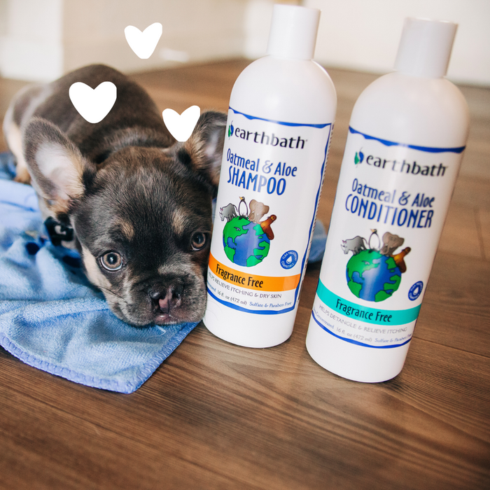Dog with Oatmeal & Aloe Itch Relief Conditioner - Fragrance Free and hearts