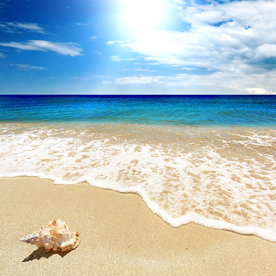 Ocean Breeze Fragrance Oil