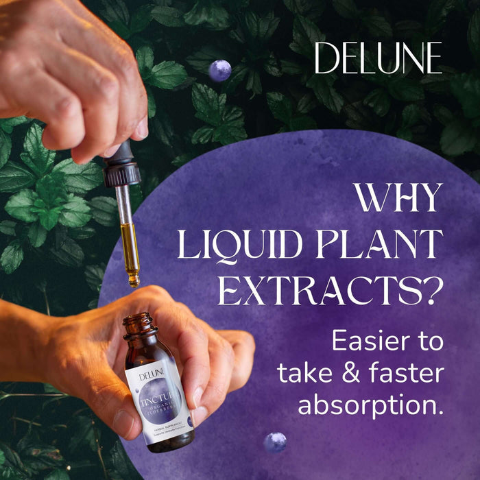 Organic Elderberry Herbal Tincture - Delune