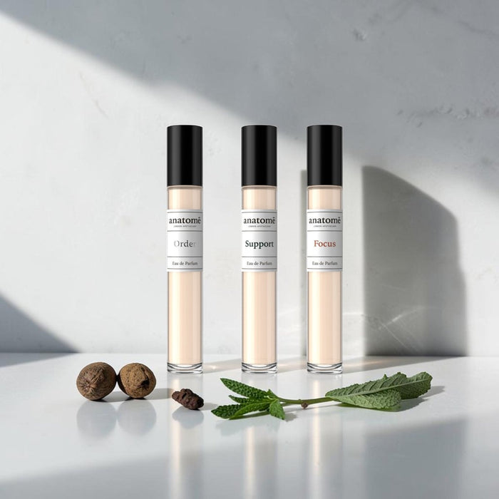 Parfum Travel | Discovery Set | Focus, Support and Order - anatomē