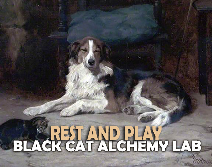 Dog lying on a stone surface with text overlay 'Rest and Play Black Cat Alchemy Lab'.
