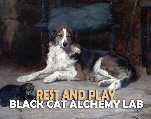 Dog lying on a stone surface with text overlay 'Rest and Play Black Cat Alchemy Lab'.