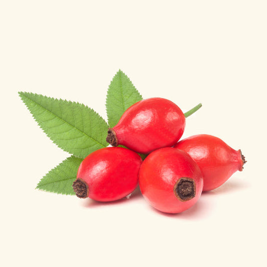 Rosehip Fragrance Oil