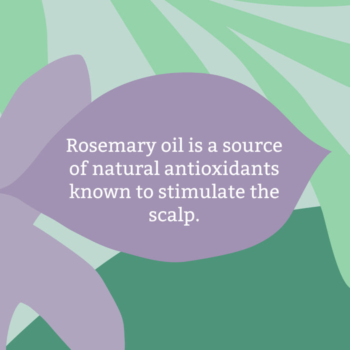 Rosemary conditioner - 400ml