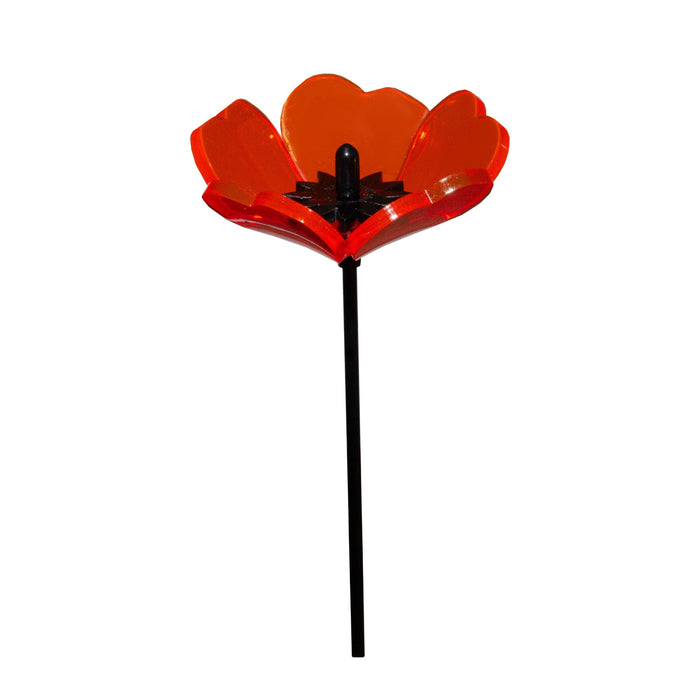 Sales Display Trevor Poppies